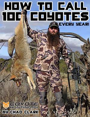 Coyote Hunting 101 ebook cover